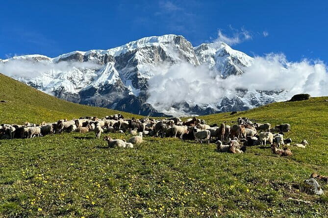 3 Day Kapuche Glacier Lake Trek with Siklesh from Pokhara - Who Should Consider This Trek?