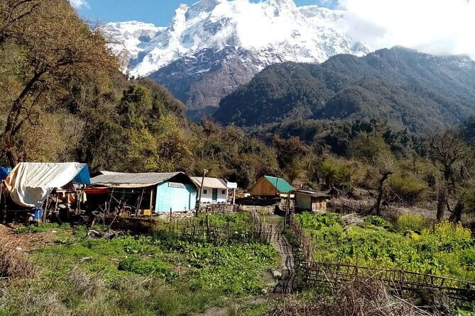 3 Day Kapuche Glacier Lake Trek with Siklesh from Pokhara - Final Thoughts