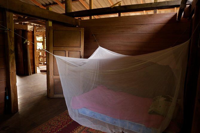 3-Day Kindred Spirit Elephant Sanctuary Chiang Mai - Who Will Appreciate This Tour?