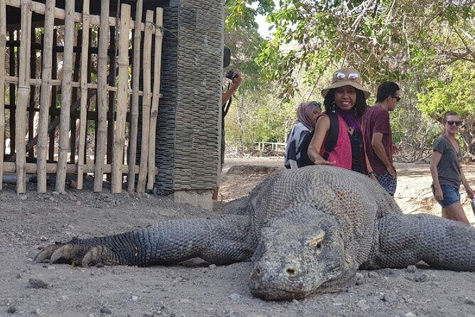 3-Day Komodo island Tour with or without Roundtrip Flight From Bali - Exploring the 3-Day Komodo Island Tour in Detail