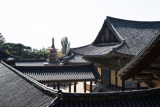 3-Day KORAIL Tour of Busan and Gyeongju from Seoul - Why This Tour Offers Good Value