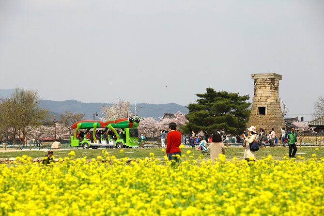 3-Day KORAIL Tour of Busan and Gyeongju from Seoul - FAQ