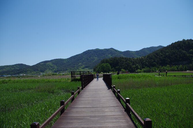 3-Day Korea Western course by K-shuttle Tour from Seoul to Busan - Final Thoughts