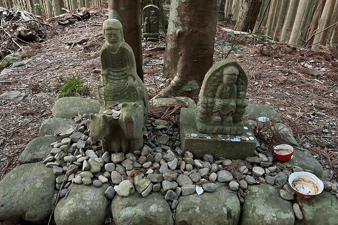 3 Day Kumano Kodo Pilgrimage Route Walking Tour from Osaka - Who Should Consider This Tour?