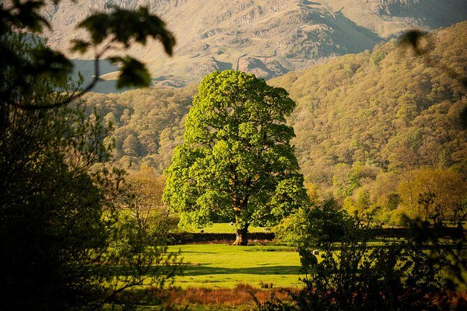 3-Day Lake District Explorer Small-Group Tour from Edinburgh - Who Will Enjoy This Tour?