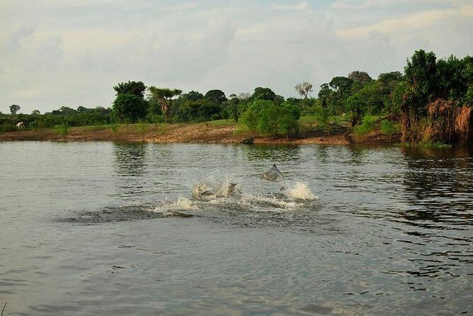 3-Day Manaus Amazon Jungle Adventure - Exploring the Amazon: A Practical and Authentic 3-Day Tour