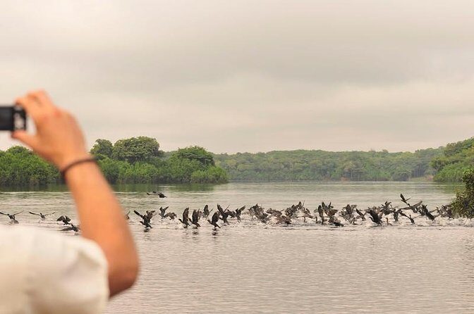 3-Day Manaus Amazon Jungle Adventure - What Makes This Tour Stand Out