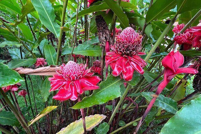 3 Day Manu Amazon Rainforest (Private Tour) - FAQ