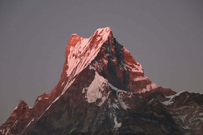 3 Day Mardi Himal Base Camp Trek from Pokhara - A Detailed Look at the 3-Day Mardi Himal Trek