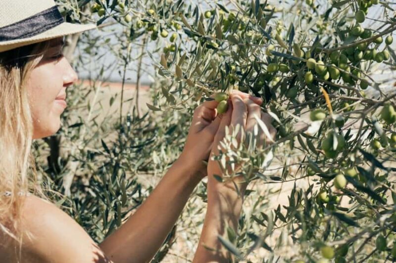 3-Day Mendoza Enchanted Vine Retreat With Optional Airfare - Key Points