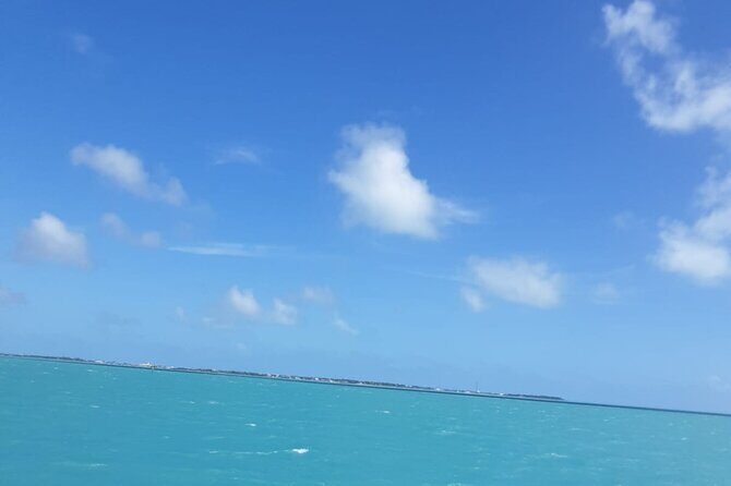 3-Day Miami Beach with Miami Bus/Boat Tour, Everglades and Keywest boat Tour - A Closer Look at the 3-Day Miami Experience