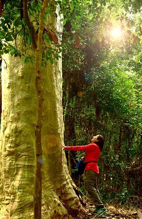 3 Day Murramarang Coast Journey from Batemans Bay with Meals and Villa Accom - What’s Not Included and Practical Tips