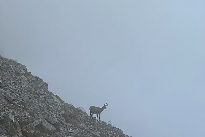 3-Day Olympus Hiking Adventure - Discover the 3-Day Olympus Hiking Adventure: An Authentic Journey into Greece’s Mythical Mountain
