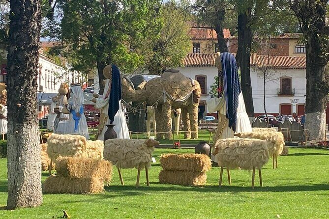 3-Day Private Guided Tour of Monarch Butterflies in Michoacan - Who Should Consider This Tour?