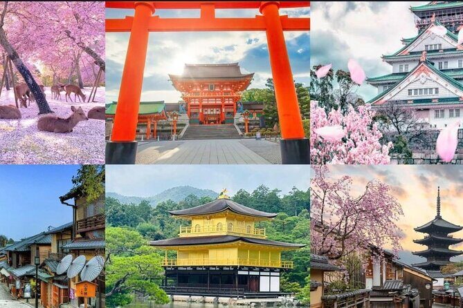 3 Day Private Osaka Kyoto and Nara Tour - Key Points