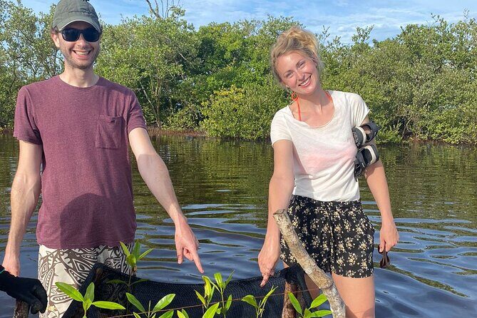 3 day private tour, crystal clear sea and islands near Cartagena - An Honest Look at the 3-Day Private Tour Near Cartagena