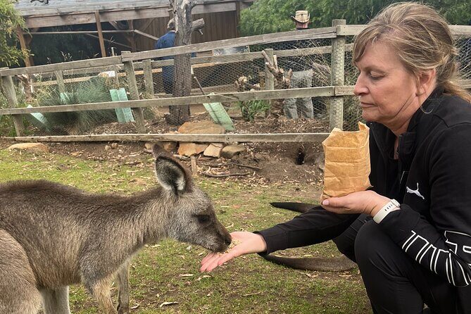 3 Day Private Tour in Tasmania - What’s Included and What to Consider