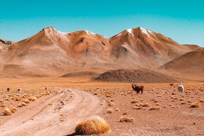 3-Day Private Tour of Uyuni Salt Flats and Colored Lagoons Roundtrip from Uyuni - A Deep Dive into the Uyuni Salt Flat Adventure