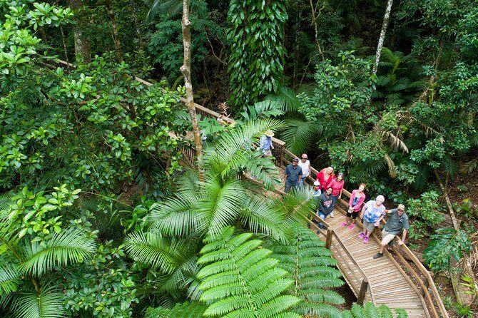 3 Day Reef Cruise, 4WD Rainforest and Outback Chillagoe Package - Exploring the Itinerary in Detail