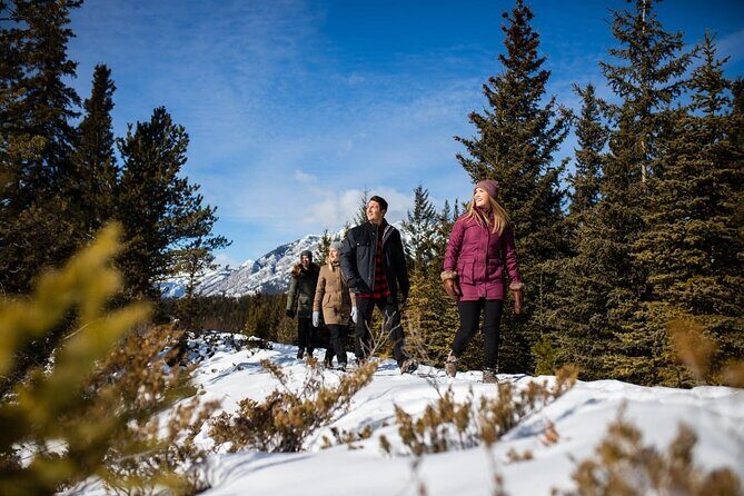 3-Day Rockies Express Tour Package: Banff, Lake Louise and Yoho - The Value and Pricing