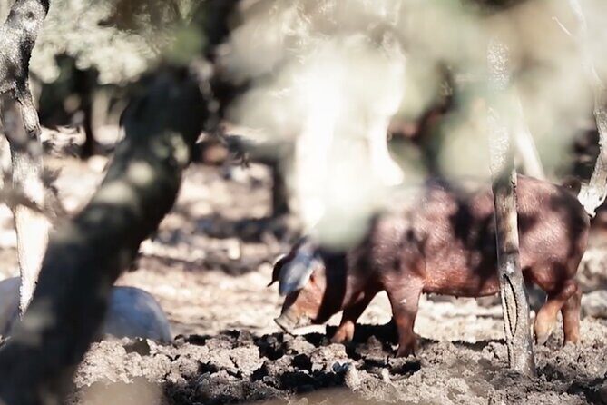 3-Day Rural Experience in the Valley of Ocón - FAQ