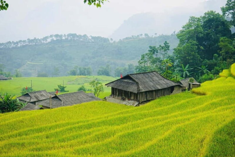 3-Day Sa Pa Trek: Villages, Rice Terraces & Bamboo Forest - Final Thoughts