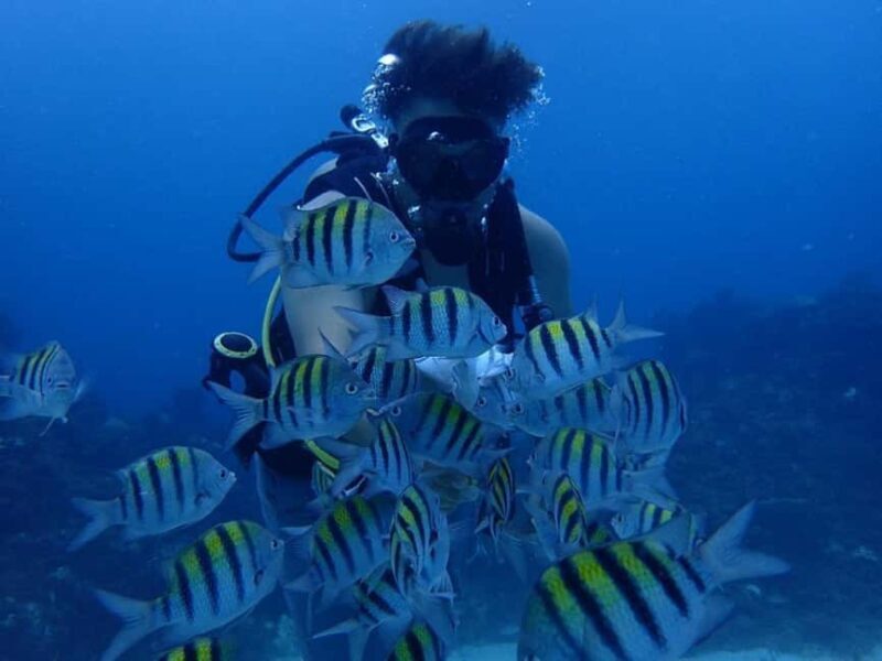 3-Day Scuba Diving Certification Course in Ocho Rios - An Honest Look at the 3-Day Scuba Certification Course in Ocho Rios