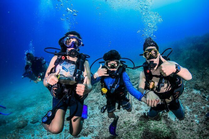 3 Day Scuba Diving Experience with 4 Immersion Courses - Exciting 3-Day Scuba Diving Course in Cancun: A Complete Review