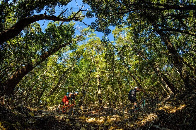 3 Day Shuttle MTB Weekend Adventure in Nelson - A Closer Look at the Nelson MTB Weekend