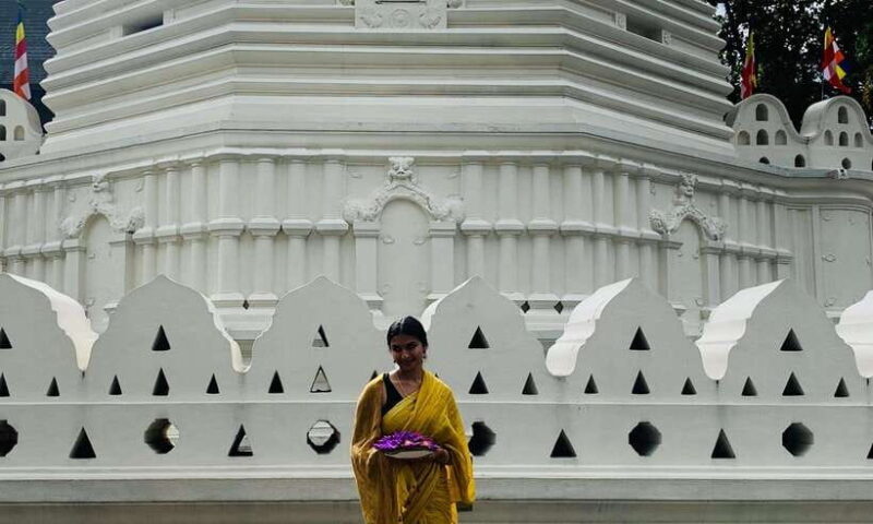 3-Day Sri Lanka Tour: Kandy Nuwara Eliya Ella & Yala Safari - A Practical Guide to the 3-Day Sri Lanka Tour