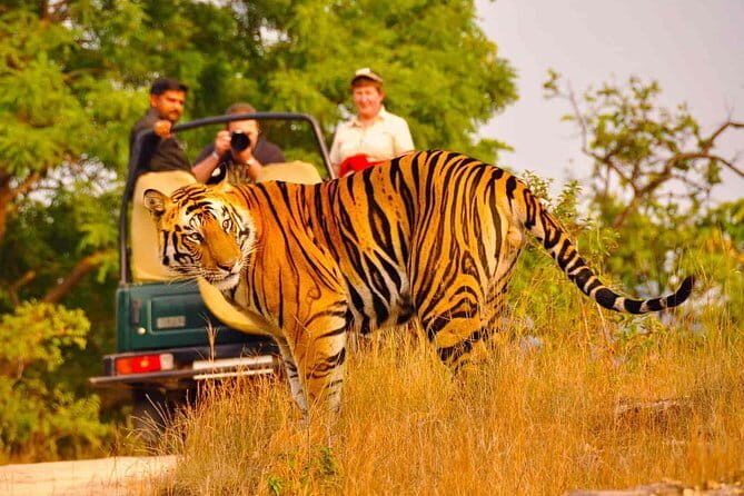 3 Day Taj Mahal and Jim Corbett National Park Safari Tour - Summing up