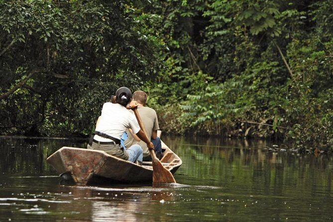 3-Day Tambopata Amazon Jungle Tour at Hacienda Concepción - Key Points