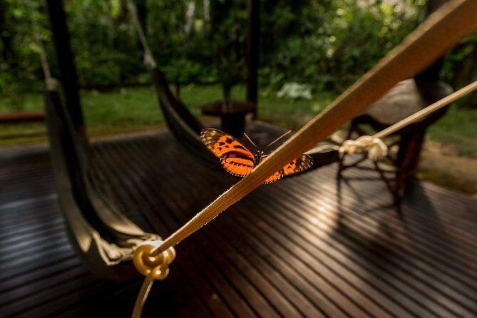 3-Day Tambopata Amazon Jungle Tour at Posada Amazonas - Exploring the Amazon: A 3-Day Adventure at Posada Amazonas