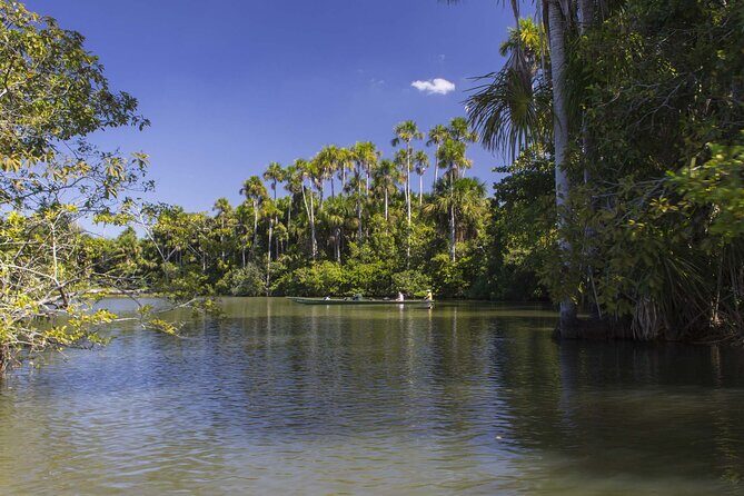 3 Day Tambopata National Reserve Tour with Local Guide & Wildlife - Exploring the Amazon: A Deep Dive into the 3-Day Tambopata Tour