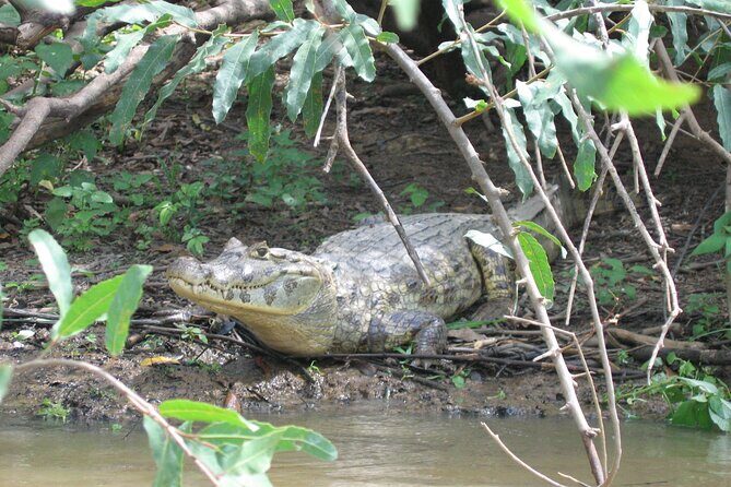 3 Day Tambopata National Reserve Tour with Local Guide & Wildlife - Final Thoughts