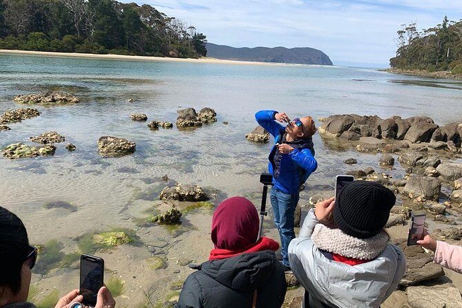 3 day Tasmanian highlights tour  Hobart, Port Arthur and Bruny Island - Final Thoughts: Is This Tour for You?
