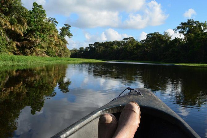 3-day Tortuguero Expedition - Why This Tour Works for You