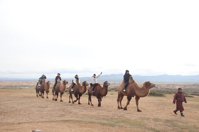 3 Day Tour to Kharkhorin and Mini Gobi with Camel and Horse Ride - Who Is This Tour Best For?