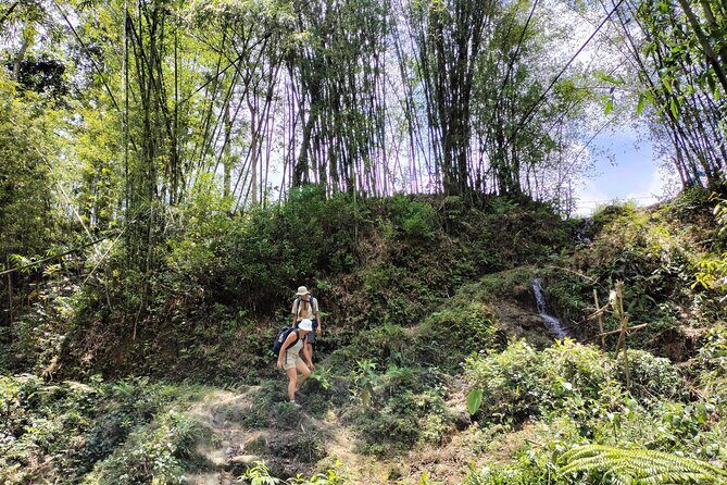 3-Day Trek in Amazing Muong Hoa Valley & ethnic Homestay - A Detailed Look at the 3-Day Muong Hoa Valley Trek