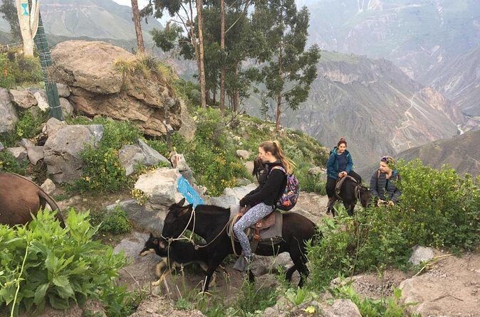 3 Day Trek Including Transfer to Puno / Colca Canyon - The Sum Up