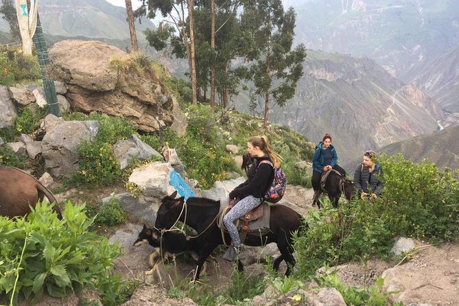 3 Day Trek Including Transfer to Puno / Colca Canyon - FAQ
