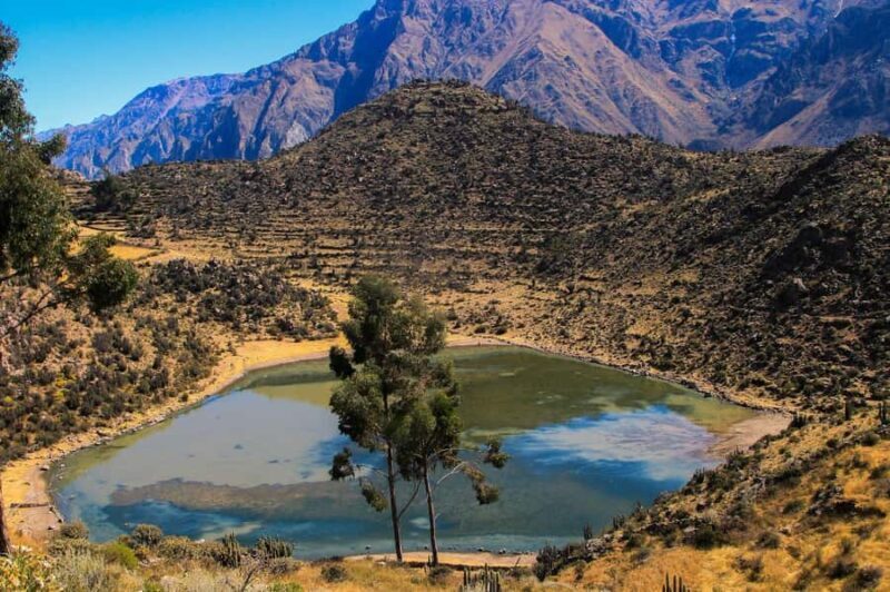 3-day trek to the Colca Canyon from Arequipa ending in Puno - Key Points