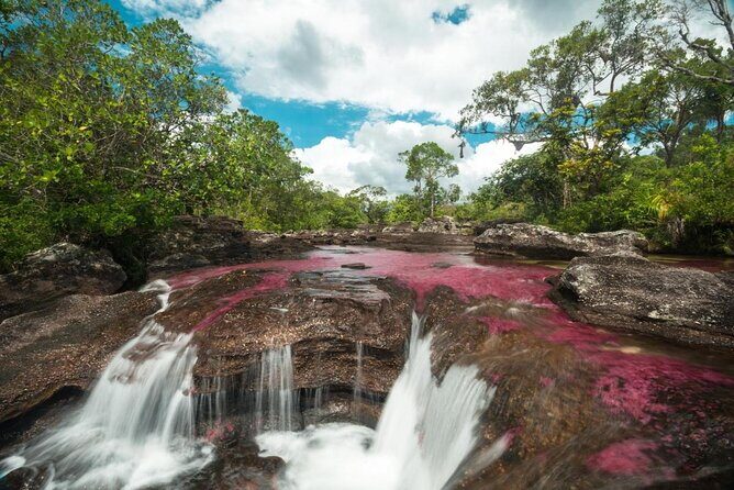 3-Day Trip to Caño Cristales from Bogota - A 3-Day Adventure to Caño Cristales from Bogotá
