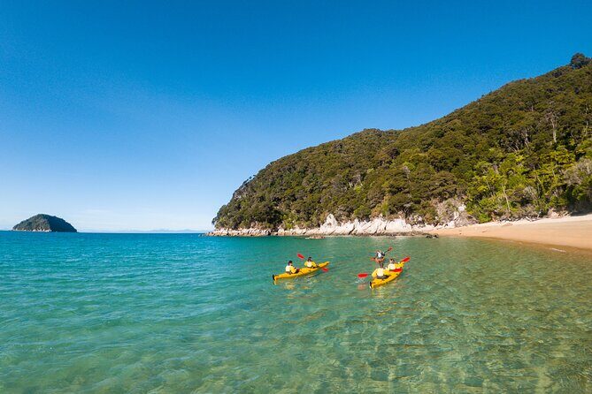 3 Day Unguided Kayaking starting in the Abel Tasman National Park New Zealand - Is This Trip Right for You?