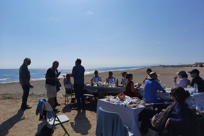 3 Day Wine Tasting Tour in Languedoc - Authentic Experiences and Authentic Hosts