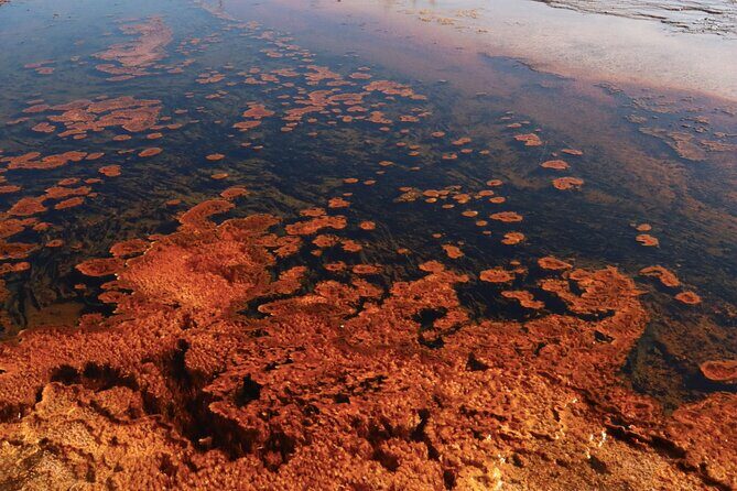 3-Day Yellowstone & Grand Teton Upper & Lower Loop Wildlife Tours - Key Points
