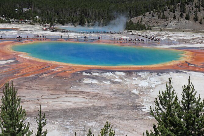 3-Day Yellowstone & Grand Teton Upper & Lower Loop Wildlife Tours - What Sets This Tour Apart?