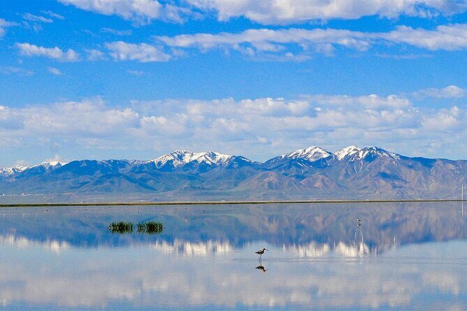 3 Day Yellowstone, Grand Teton Winter Discovery Small Group Tour - FAQs