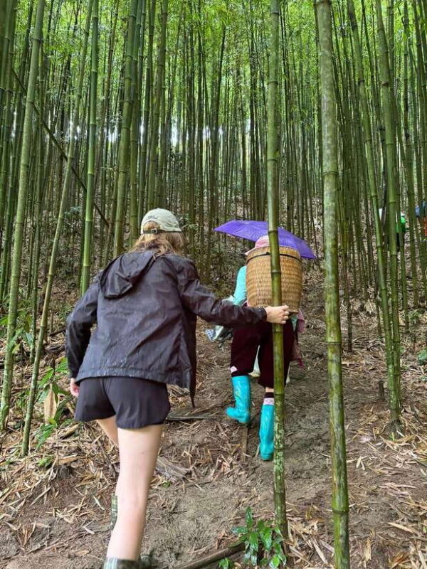 3 Days 2 Nights in Sapa | 1 Night Homestay & 1 Night Hotel - Final Thoughts