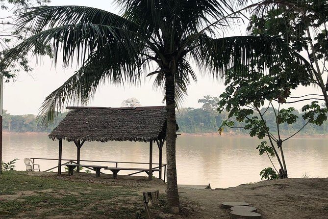 3 days 2 nights - Tambopata Jungle - What Makes This Tour Stand Out